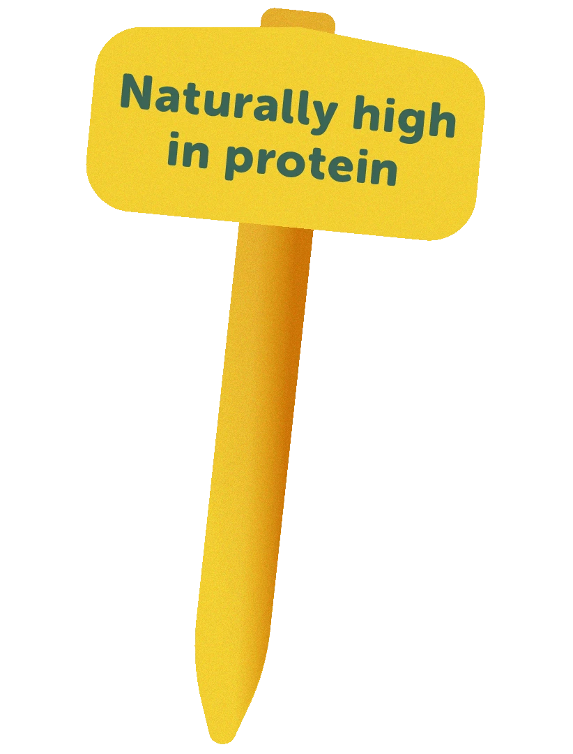 Naturally high in protein