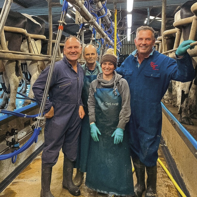 Real Deal Dairy Farmers in a milking shed