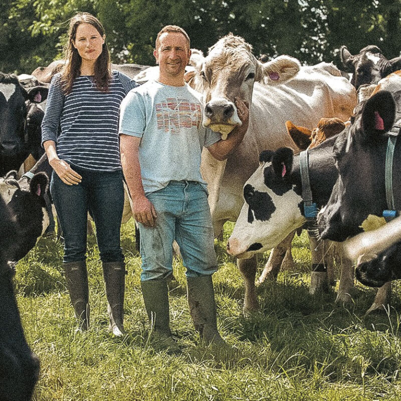 The Real Deal Dairy Crew in a fields with cows